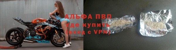 хмурый Алексин