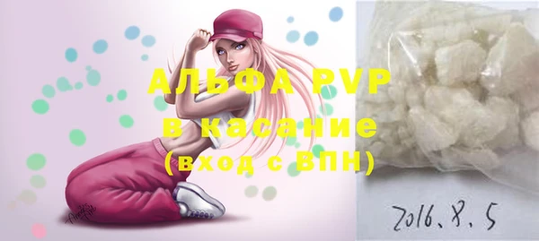 хмурый Алексин