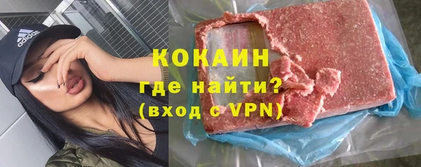 хмурый Алексин
